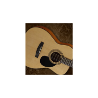 Folk-size acoustic guitar with a laminate spruce top, mahogany back &amp; sides, 20 frets, die cast tuners and more. &nbsp;Perfect for beginners.