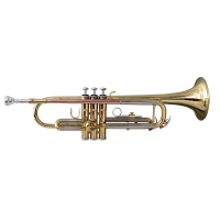 <p>A good quality instrument for learners.</p><p>Brass trumpet with gold lacquered finish.<br />Stainless steel valves<br />Bore &Oslash; 11,65mm<br />Bell size<span class="Apple-tab-span" style="white-space:pre;"> </span>&Oslash; 125mm<br /><br /></p>