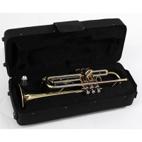 <p>A good quality instrument for learners.</p><p>Brass trumpet with gold lacquered finish.<br />Stainless steel valves<br />Bore &Oslash; 11,65mm<br />Bell size<span class="Apple-tab-span" style="white-space:pre;"> </span>&Oslash; 125mm<br /><br /></p>