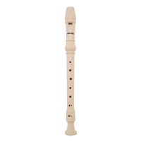 A great choice for beginners.<br />A well-made instrument with a good tone.<br />&nbsp;<br /><br />