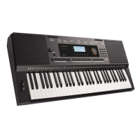 A great learner keyboard with an extensive feature set!<br />Lovely piano sound, powerful speaker system.<br />Well-built with stylish looks.<br />USB connectivity.<br />AUX IN and MIC IN for playing and singing along to tracks.<br />Effects for the Mic Input, including reverb.<br /><br />