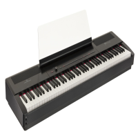 <p>88-key digital piano with built-in speakers.</p><p>Attractive modern looks and a host of features.</p><p>Over 90 sounds, including Grand Pianos, Electric Pianos, Organs, Brass, Strings, Synths, Guitars and Basses.</p><p>Split and Layer modes.</p><p>USB connectivity for use as a midi controller with computer software.</p><p>Bluetooth playback allows you to stream audio to the internal speakers and play along.</p><p><br /></p>