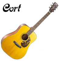 Fantastic electro-acoustic guitar with solid top &amp; back, dreadnought body shape, Grover tuners, and more.