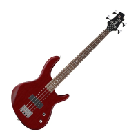 Excellent short-scale bass with lightweight construction, great playability, and good for all styles.&nbsp;&nbsp;