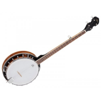 Nice entry-level 5-string banjo with gig bag.