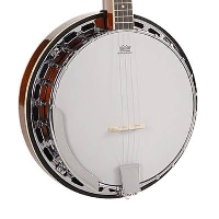 Good quality 5-string banjo with closed back, arm rest, bone nut, ivoroid binding, and more.