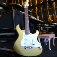 Superb HSS strat with awesome gold metallic finish, split coil option, smooth satin neck, and more.