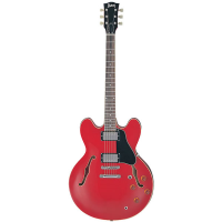 High quality 335 guitar at a great price.&nbsp; Includes hard case.