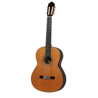 Stunning all-solid classical guitar with an amazing tone and feel.