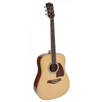 Decent dreadnought acoustic guitar with solid spruce top.