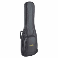 Electric guitar bag with 10mm padding.