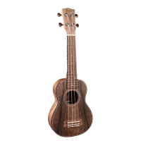 Lovely looking soprano ukulele with dao body, faux tortoise binding, and geared machine heads!