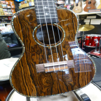<p>Stunning concert ukulele with butterfly wood body, gloss finish, herringbone binding, and more.</p><p>Includes bag.</p>