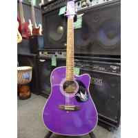 <p>Lovely dreadnought electro-acoustic in a fantastic purple finish.&nbsp; Includes Lindo bag.</p><p>Condition: A few small marks on the table and neck heel.</p>