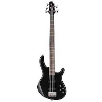 Awesome and affordable 5-string bass guitar with active circuit, lightweight construction, 24 frets, and lots more!