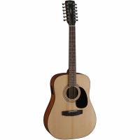 Affordable 12-string acoustic guitar with great playabilty and tone.