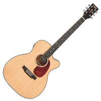 Affordable electro-acoustic with solid spruce top and natural satin finish.<br />
