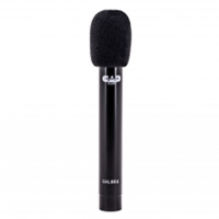 The GX800 small diaphragm pencil condenser delivers class-leading transient response while supplying a true representation of voice or instrument. The GXL800&rsquo;s small size, accuracy and high SPL capability make it ideal for overhead miking, high hats, cymbals, snare drum, as well as stringed instruments. Includes clips and foam windscreens.<br /><br />