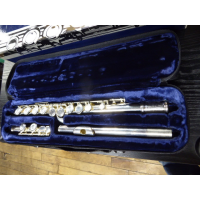 <p>Beautiful silver-plated intermediate flute from this well-reputed manufacturer.</p><p>Renowned for it's lovely tone, smooth action and great playability.</p><br /><br /><p></p>