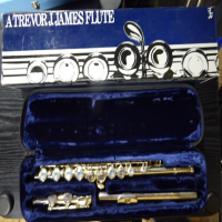 <p>Beautiful silver-plated intermediate flute from this well-reputed manufacturer.</p><p>Renowned for it's lovely tone, smooth action and great playability.</p><br /><br /><p></p>