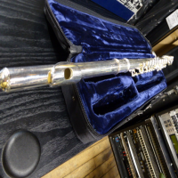 <p>Beautiful silver-plated intermediate flute from this well-reputed manufacturer.</p><p>Renowned for it's lovely tone, smooth action and great playability.</p><br /><br /><p></p>