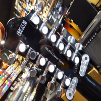 Nice affordable Rickenbacker style 12-string electric guitar in excellent condition.<br />