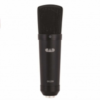 The GXL2200 is a large diaphragm condenser microphone with a cardioid pattern.<br />Ideal for recording vocals as well as acoustic instruments in a project studio.<br />Shock mount and vinyl pouch included.<br />Specifications:<br />Operating Principal Externally-Biased Condenser<br />Polar Pattern Cardioid<br /><br />