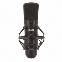 The GXL2200 is a large diaphragm condenser microphone with a cardioid pattern.<br />Ideal for recording vocals as well as acoustic instruments in a project studio.<br />Shock mount and vinyl pouch included.<br />Specifications:<br />Operating Principal Externally-Biased Condenser<br />Polar Pattern Cardioid<br /><br />