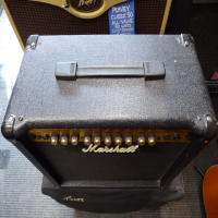 30 watt guitar amplifier with built-in effects.&nbsp; Good condition.<br />