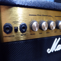 30 watt guitar amplifier with built-in effects.&nbsp; Good condition.<br />