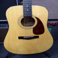 <p>Entry-level dreadnought acoustic guitar.</p><p>Condition: A bit of wear on the fretboard, otherwise excellent.</p>