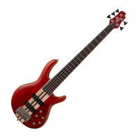 Stunning 5-string bass with active circuit, slim neck profile, great action, and loads of quality features.<br />