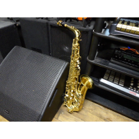 <p>Decent student alto saxophone, in good condition apart from a few bits of light tarnishing.</p><p>Has High F# key</p><p>Plays well from top to bottom.</p><br />