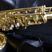 <p>Decent student alto saxophone, in good condition apart from a few bits of light tarnishing.</p><p>Has High F# key</p><p>Plays well from top to bottom.</p><br />