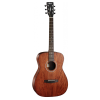 Very nice 3/4 size acoustic guitar with bag.&nbsp; A big step up in quality from entry-level beginner guitars under &pound;100.<br />