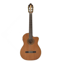 Superb electro-classical guitar with solid cedar top, high gloss finish, Fishman electronics, and more.<br />