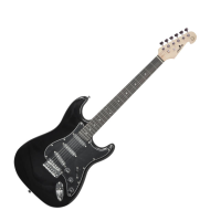 <p>Superb entry-level electric guitar with solid alder body, tremolo system, 3 single coil pickups, and more.</p><p>Gloss black finish.<br /></p>