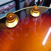 <p>John Lennon Signature electro-acoustic by Epiphone.</p><p>Condition: A couple of small dents.&nbsp; There is a crack in the table between the pickup and the edge of the soundhole (as seen in the pics).&nbsp; This will not get worse or compromise the structural integrity of the guitar.</p>