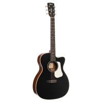 Awesome orchestra size electro-acoustic with superb playability and stunning good looks!<br />