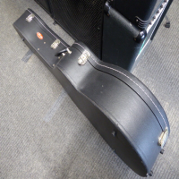 Acoustic hard case by Stagg.&nbsp; Will fit Dreadnought size and smaller.<br />