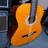 Entry-level classical guitar.&nbsp; Perfect for beginners.<br />