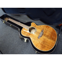 Stunning electro-acoustic in mint condition with original hard case.&nbsp; Handcrafted in Japan.