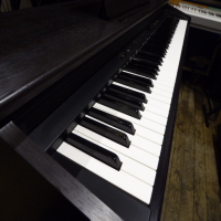 <p>88 key digital piano with a 'semi-weighted' action.</p><p>Lovely sound.</p><p>Three pedals.</p><p>2 Grand Piano sounds, two Electric pianos, two Harpsichords, two Strings and two Organs. </p><p>Dark Rosewood finish</p><br />