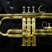 <p>A quality student trumpet in excellent condition, with mouthpiece and hard case.</p><p>Jupiter have a great reputation for making quality instruments.</p><p><br /></p><p></p><p></p><p></p>