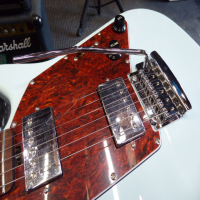 <p>Awesome Albert Lee guitar with daphne blue finish.</p><p>Mint condition.</p>