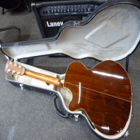 <p>Lovely thin-bodied electro-acoustic with all-solid construction and hard case.</p><p>This has been fitted with gold Wilkinson tuners.&nbsp; The original tuners are included.</p><p>Excellent condition.</p>