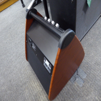 Decent drum/keyboard amplifier in great condition.