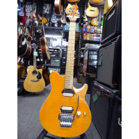 <p>Affordable copy of a Musicman Axis Eddie Van Halen signature guitar with licensed Floyd Rose style trem system.</p><p>Good condition.</p>
