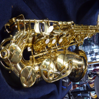 <p style="margin:0in;margin-left:.375in;font-family:Calibri;font-size:11.0pt;">An
ideal starter instrument, the JP041 is free blowing and capable of playing all
musical styles from Classical to Jazz, with a full mellow sound.</p><p style="margin:0in;margin-left:.375in;font-family:Calibri;font-size:11.0pt;"></p><p style="margin:0in;margin-left:.375in;font-family:Calibri;font-size:11.0pt;"></p><p style="margin:0in;margin-left:.375in;font-family:Calibri;font-size:11.0pt;">Excellent
condition, with case, strap and a couple of reeds.</p><br />