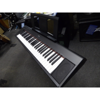 <p>61-key, touch sensitive keyboard from this well-reputed manufacturer</p><p>2 high quality piano samples, 2 Electric Pianos,&nbsp; 2 Organs, 2 Harpischords, Vibes and Strings.</p><p>Dual voice function allows two sounds to play simultaneously.</p><p>Built-in metronome and recorder function.</p><p></p>